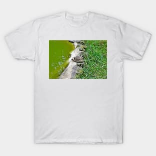 Kula Botanical Gardens Study 28 T-Shirt